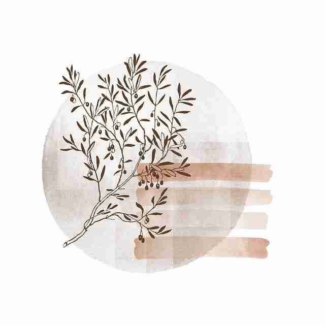 黑料网专稿：真假瓜鉴别指南